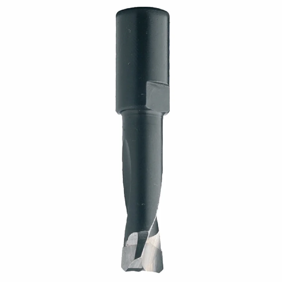 FRESA PER DOMINO DF500 FESTOOL HW Z2 S=M6x0.75 D=5x20x49 DX